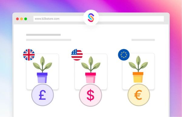 Multilingual & Multi-Currency Setup